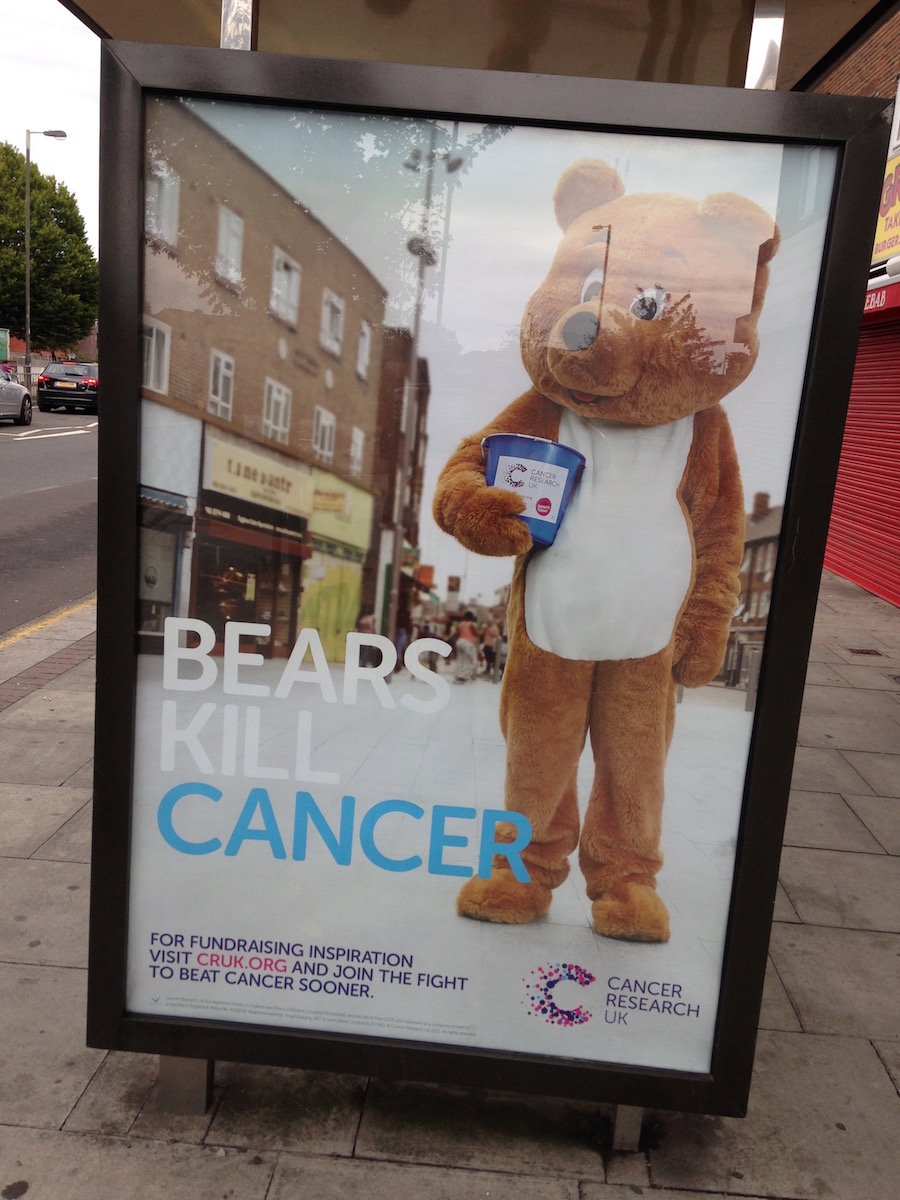 Bears Kill Cancer